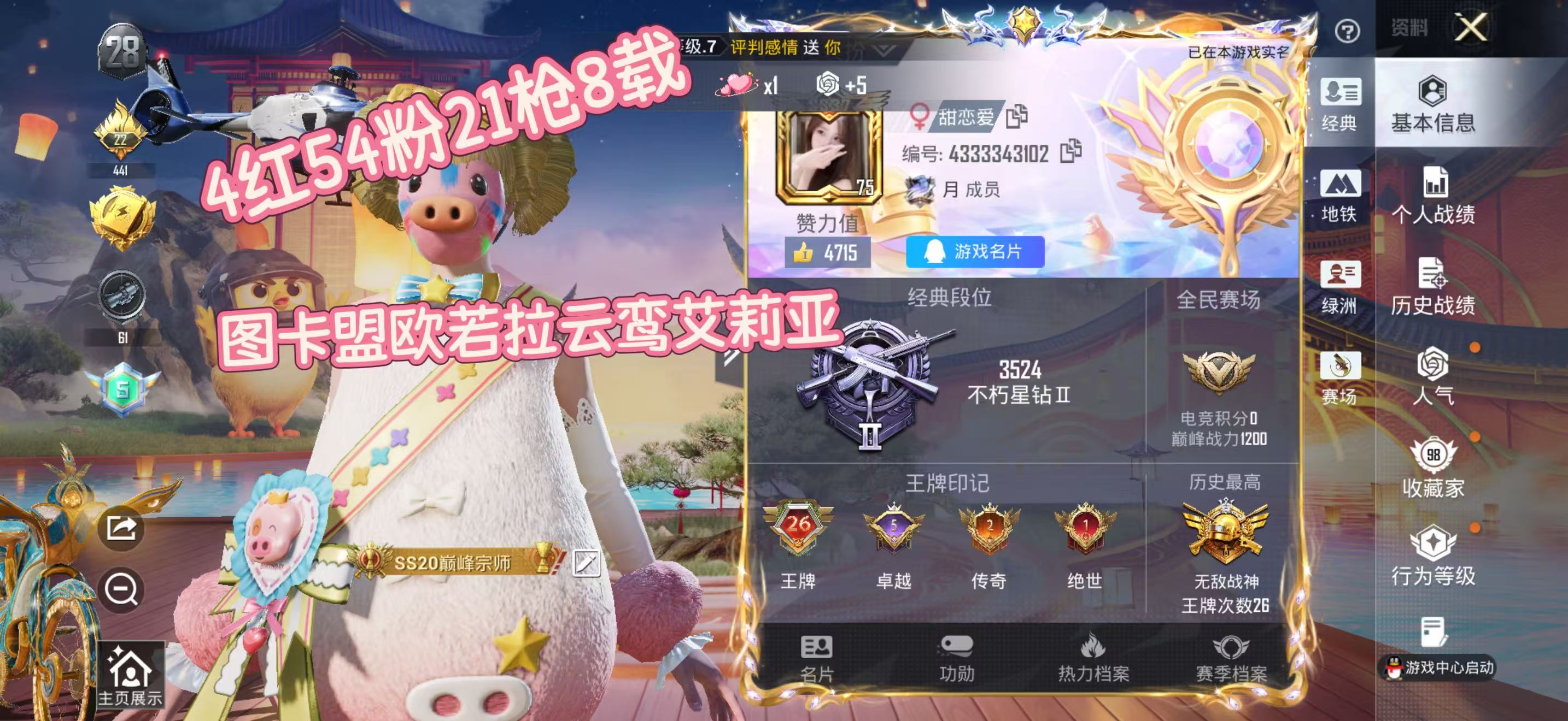 账号详情图片