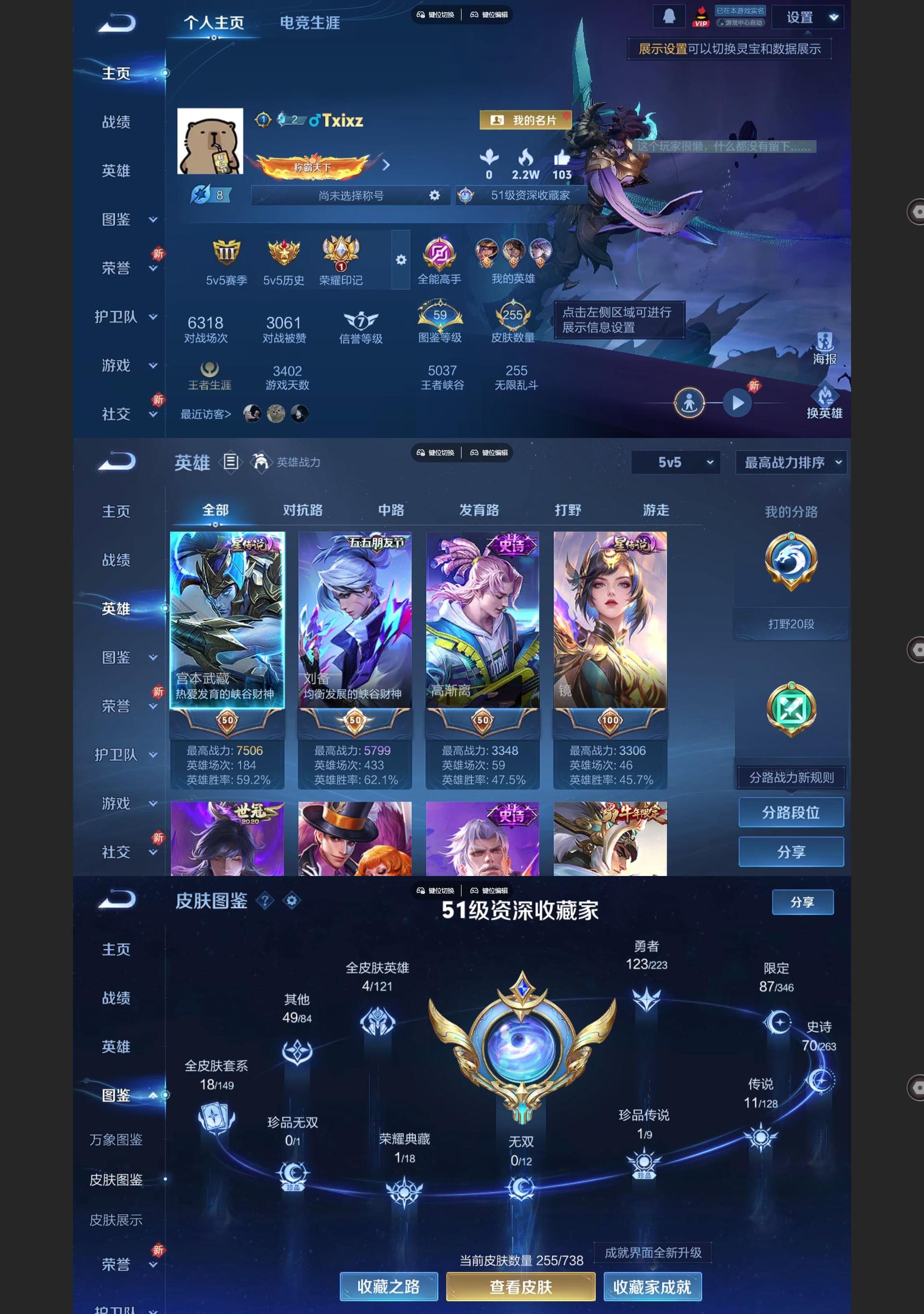 WZQM3363297王者荣耀账号详情图2