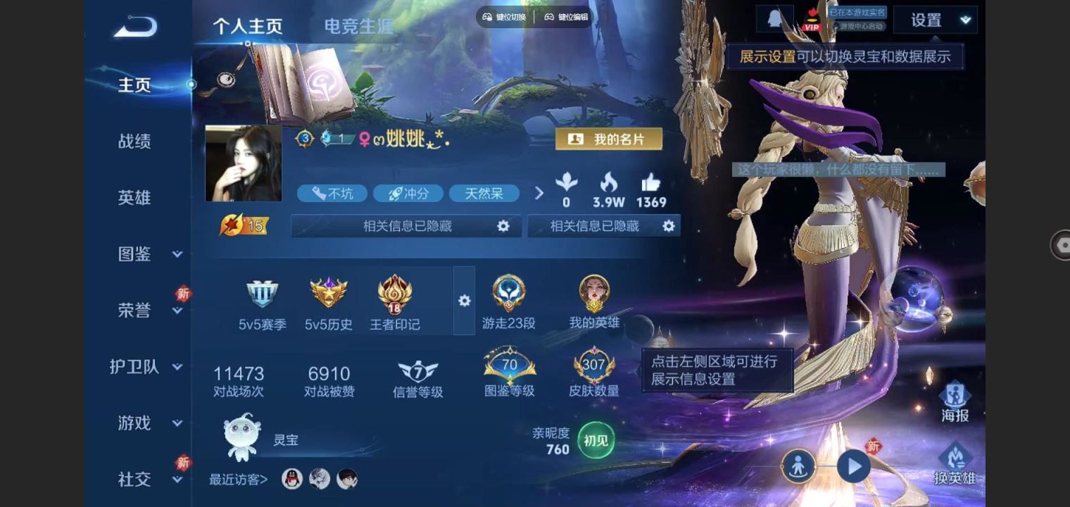 王者荣耀账号安卓QQ1金标 武则天 白虎志 寅虎瑞焰 太华 神威 默契交锋男 武陵仙君 安卓Q-V8-307皮肤3典藏2