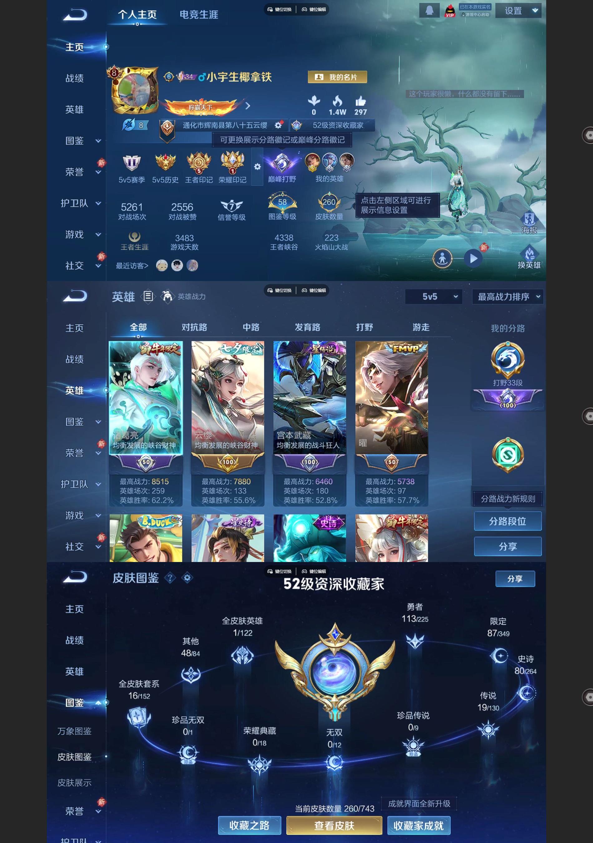 WZQM3364353王者荣耀账号详情图2