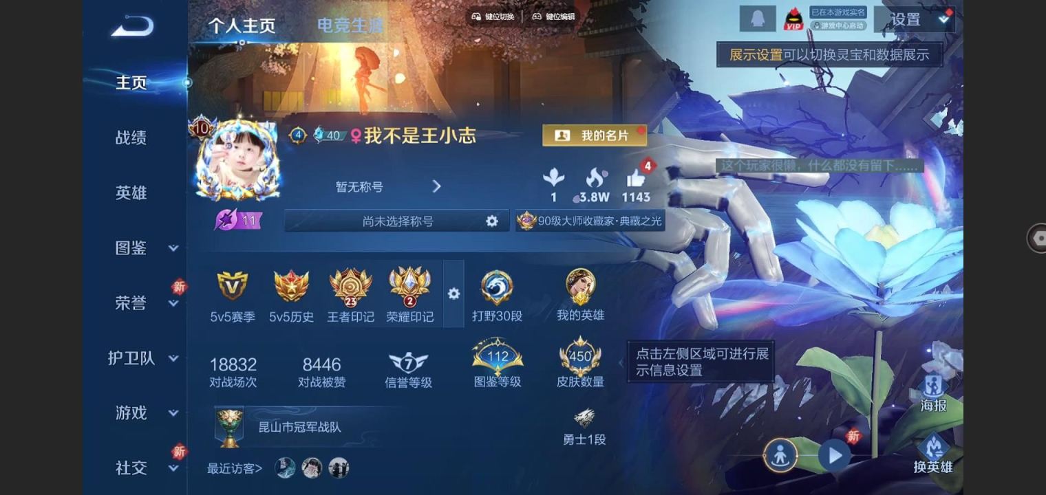 王者荣耀账号苹果QQ 愿照岁时盈 愿照千秋盛 愿照山河定 白虎志 神器明辉仪 黑崎一护 苹果Q-V10-450皮肤5典藏