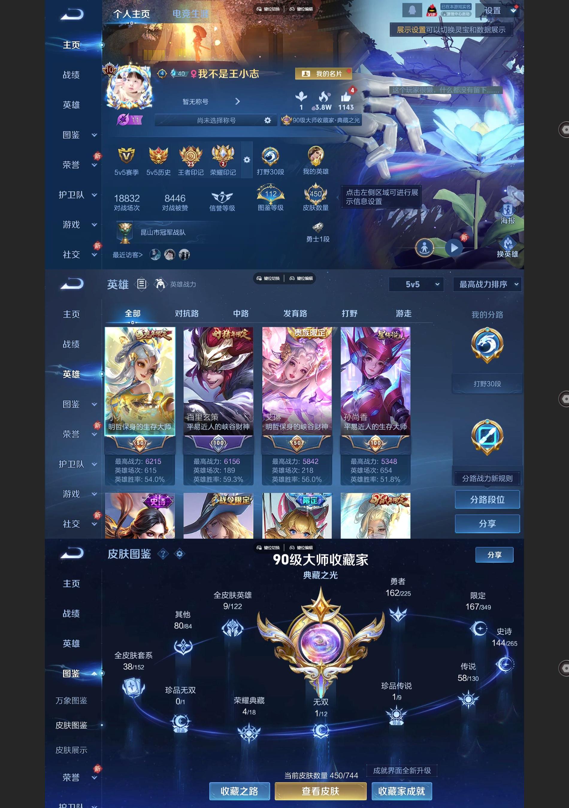 WZQM3392878王者荣耀账号详情图2