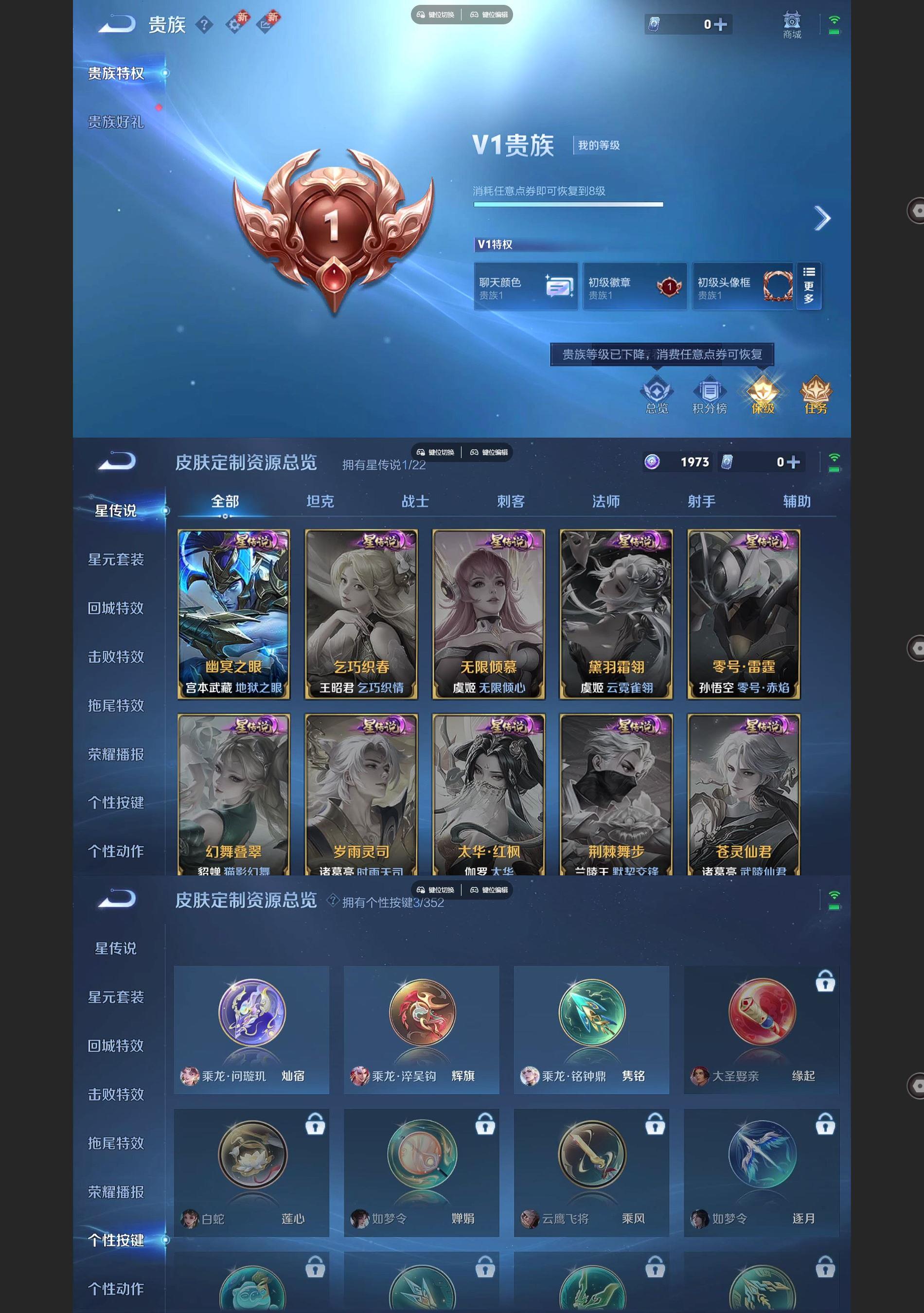 WZQM3394690王者荣耀账号详情图7