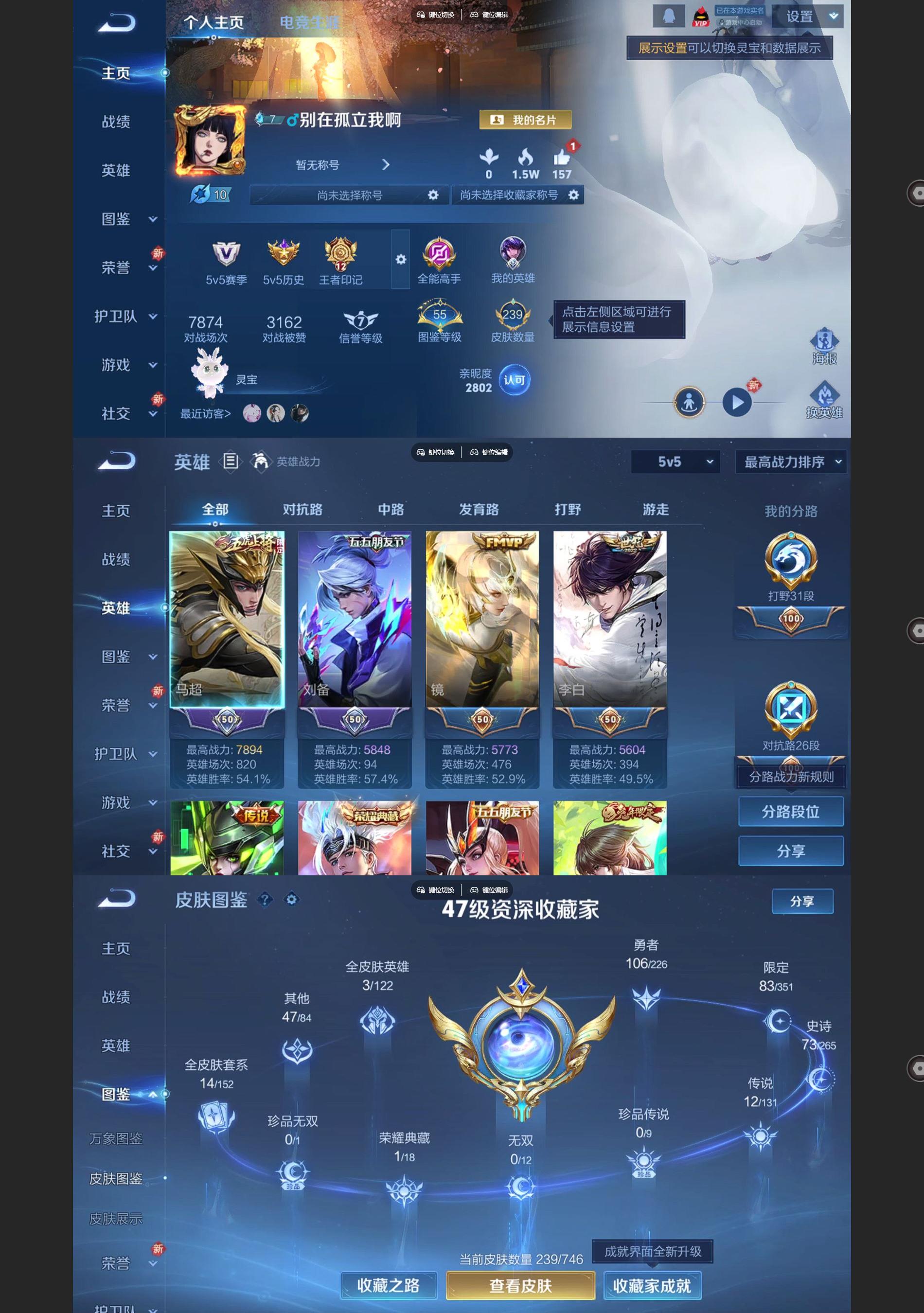 WZQM3357653王者荣耀账号详情图2