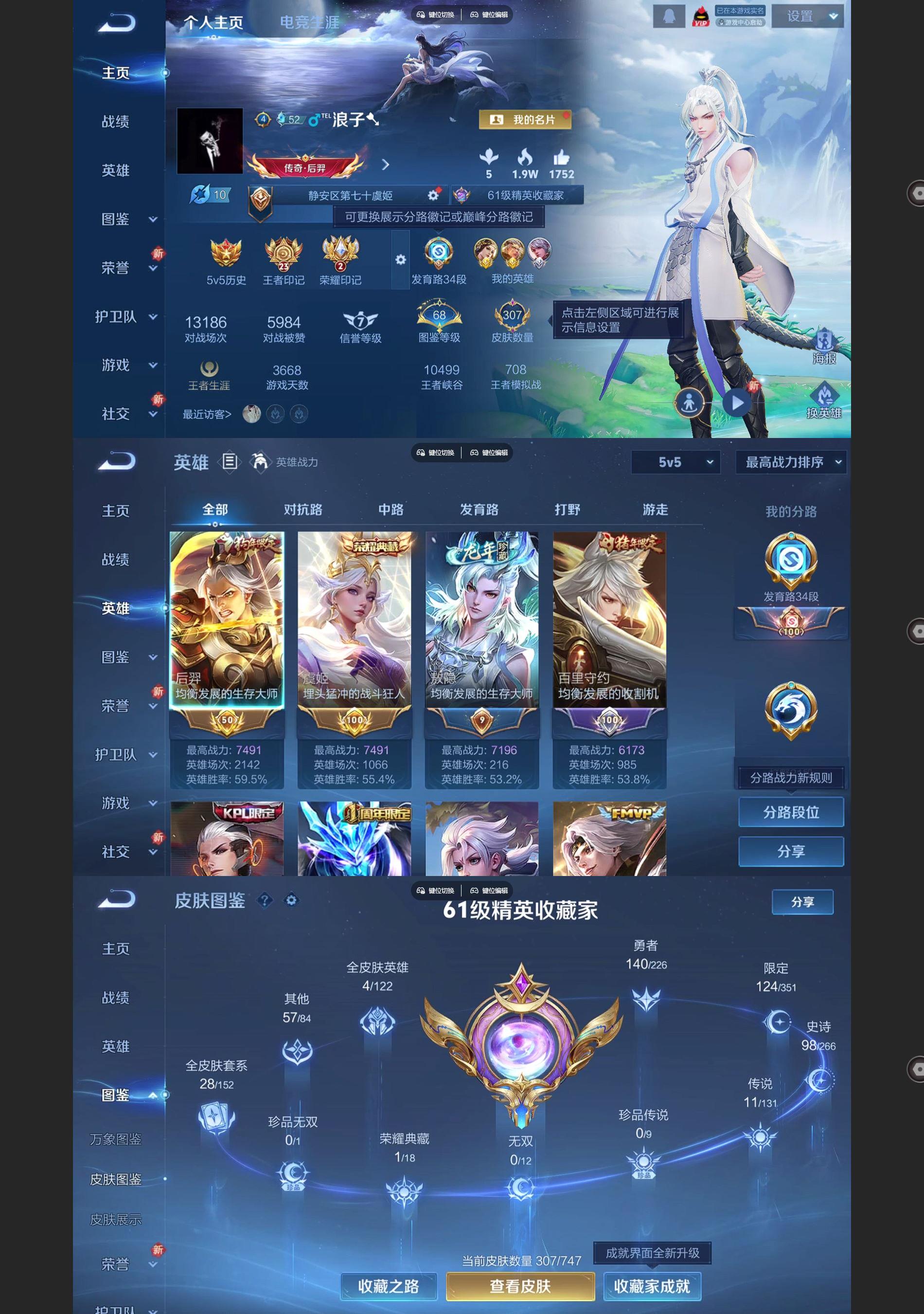 WZQM3372908王者荣耀账号详情图2