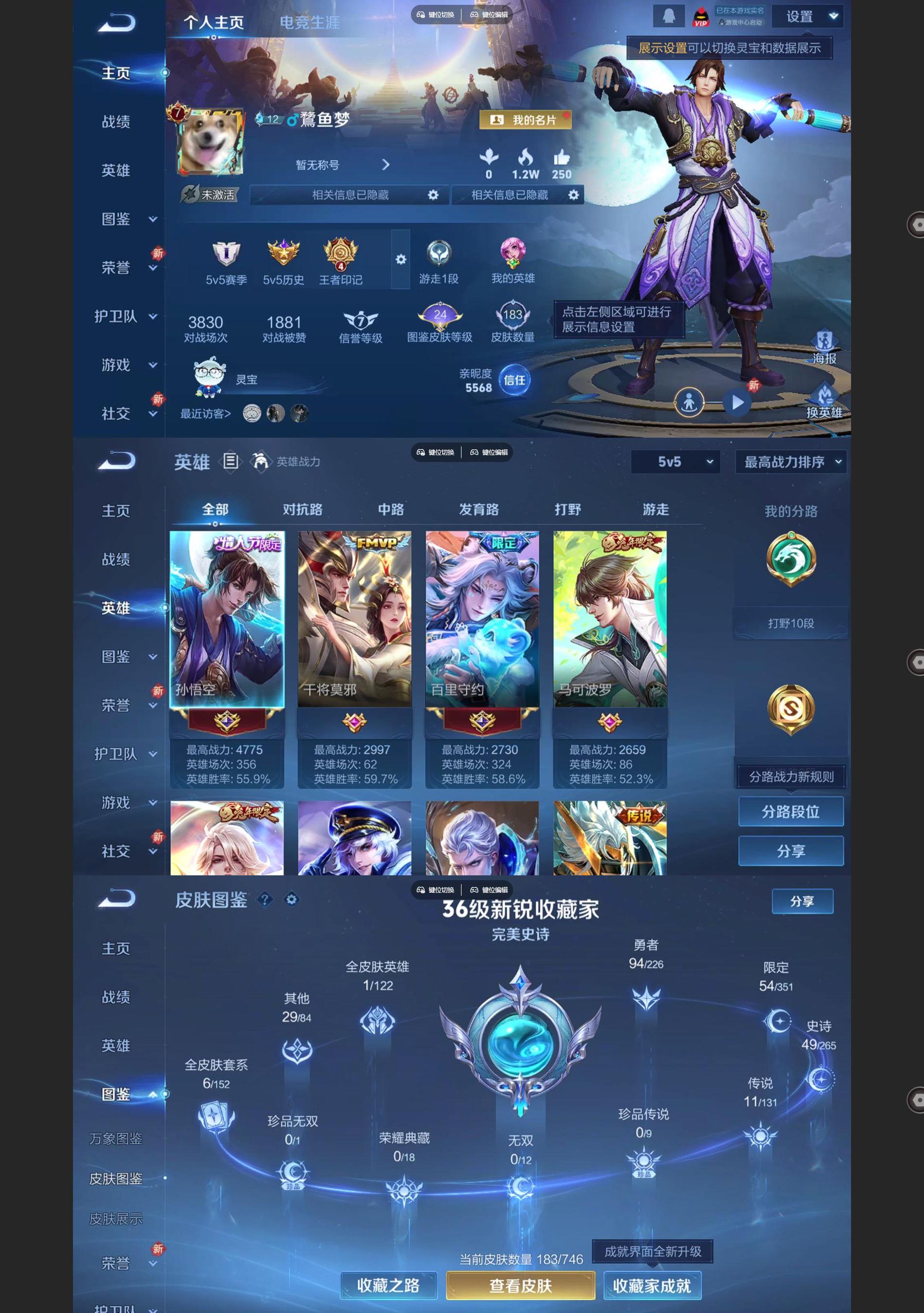 WZQM3372914王者荣耀账号详情图2