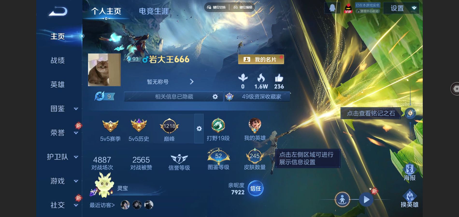 王者荣耀账号苹果QQ器灵螭龙剑 碎月剑心  九霄神辉 寅虎赤拳 枫霜尽 齐天大圣 妄想实况 苹果Q-V8-245皮肤1典