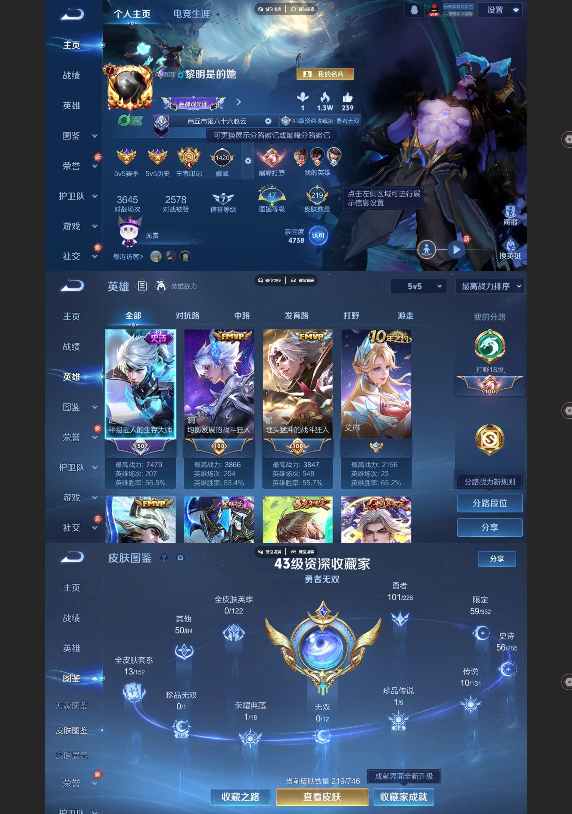 WZQM3394176王者荣耀账号详情图2