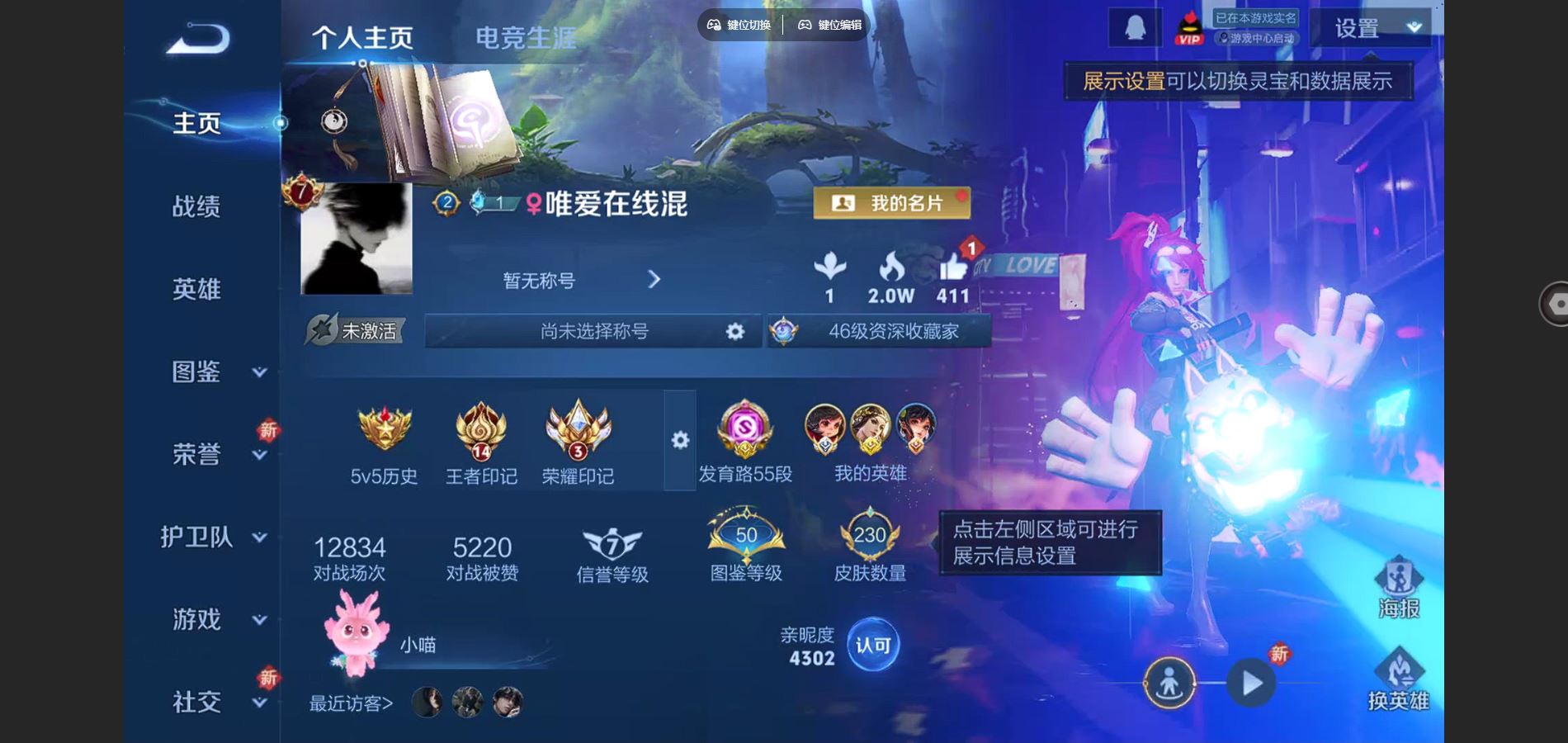 王者荣耀账号安卓QQ 1小国 1.2w李元芳 1金标 1.1w虞姬 V7-230皮肤1典藏7传说1星元-1166紫星币 