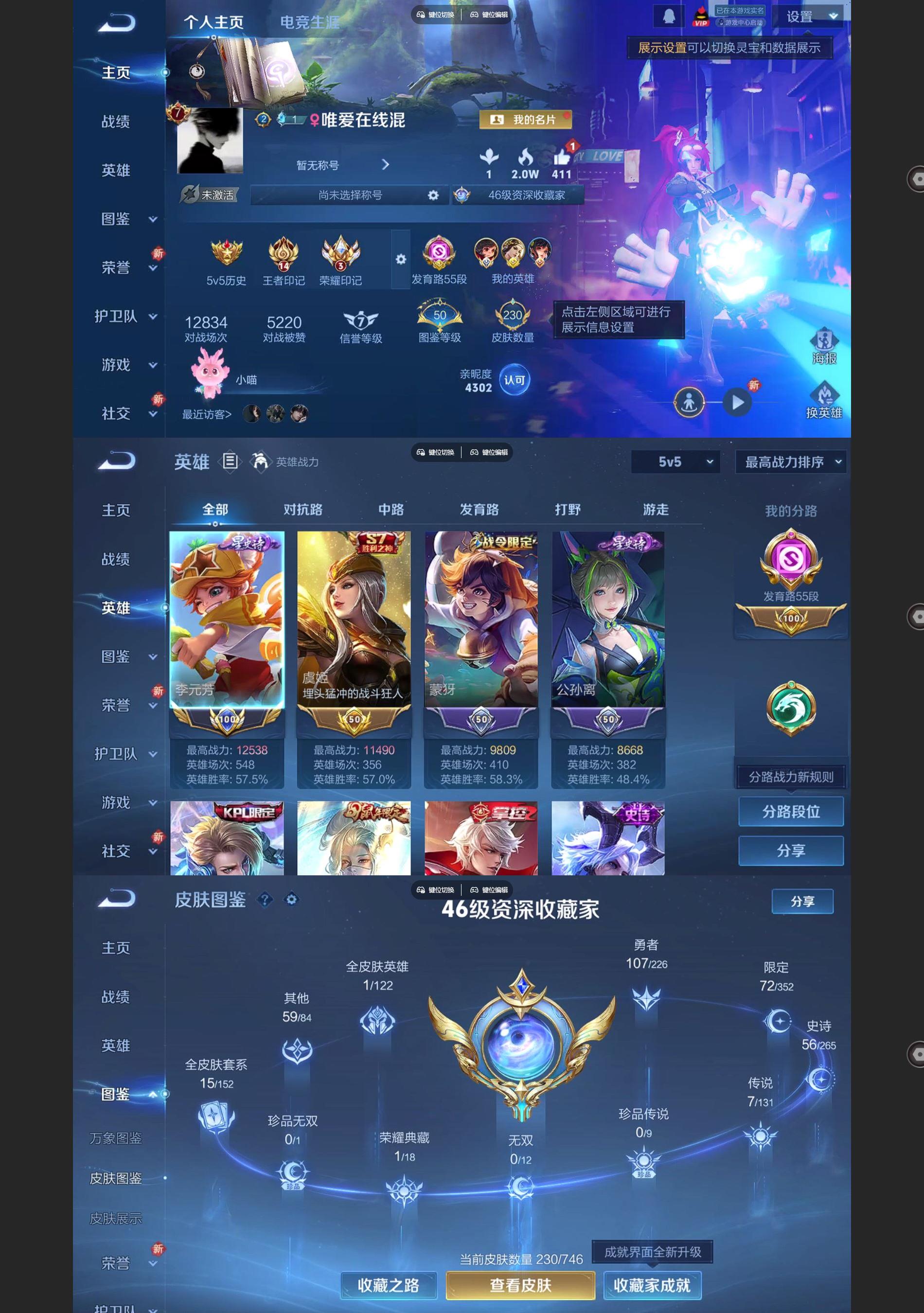 WZQM3394192王者荣耀账号详情图2