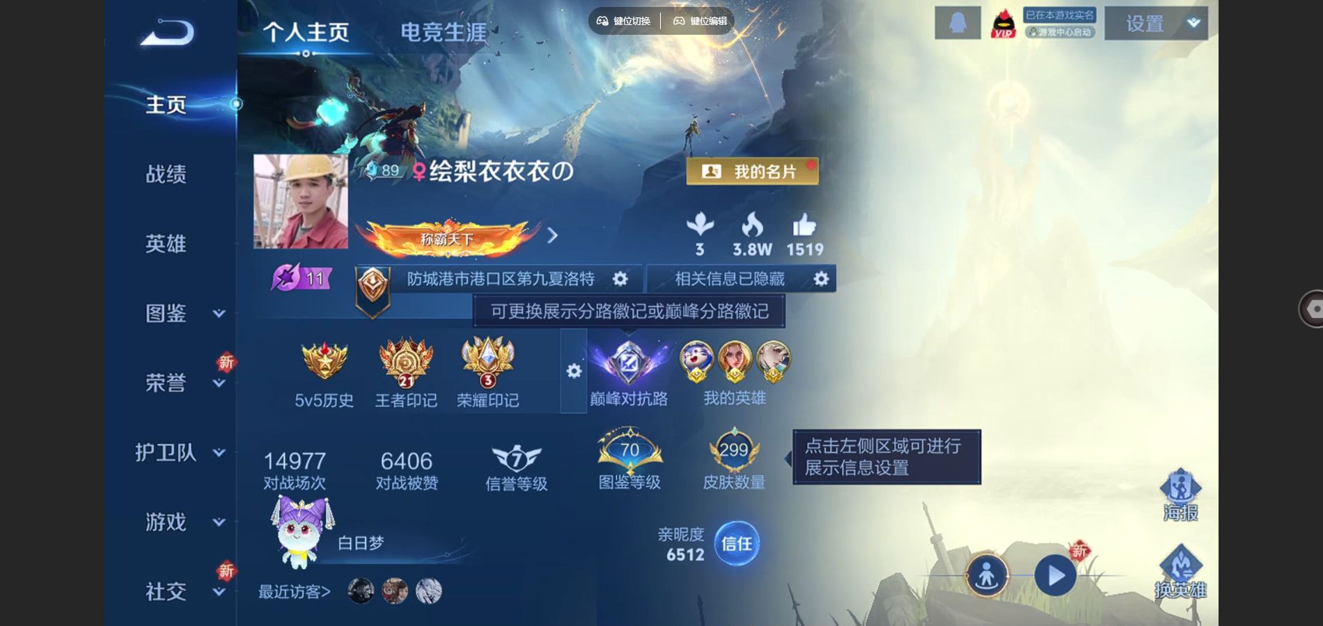 王者荣耀账号苹果QQ4金标 万战海诺 苍 梦奇 夏洛特 苹果Q-V8-299皮肤2典藏1无双23传说2星元-2423紫星