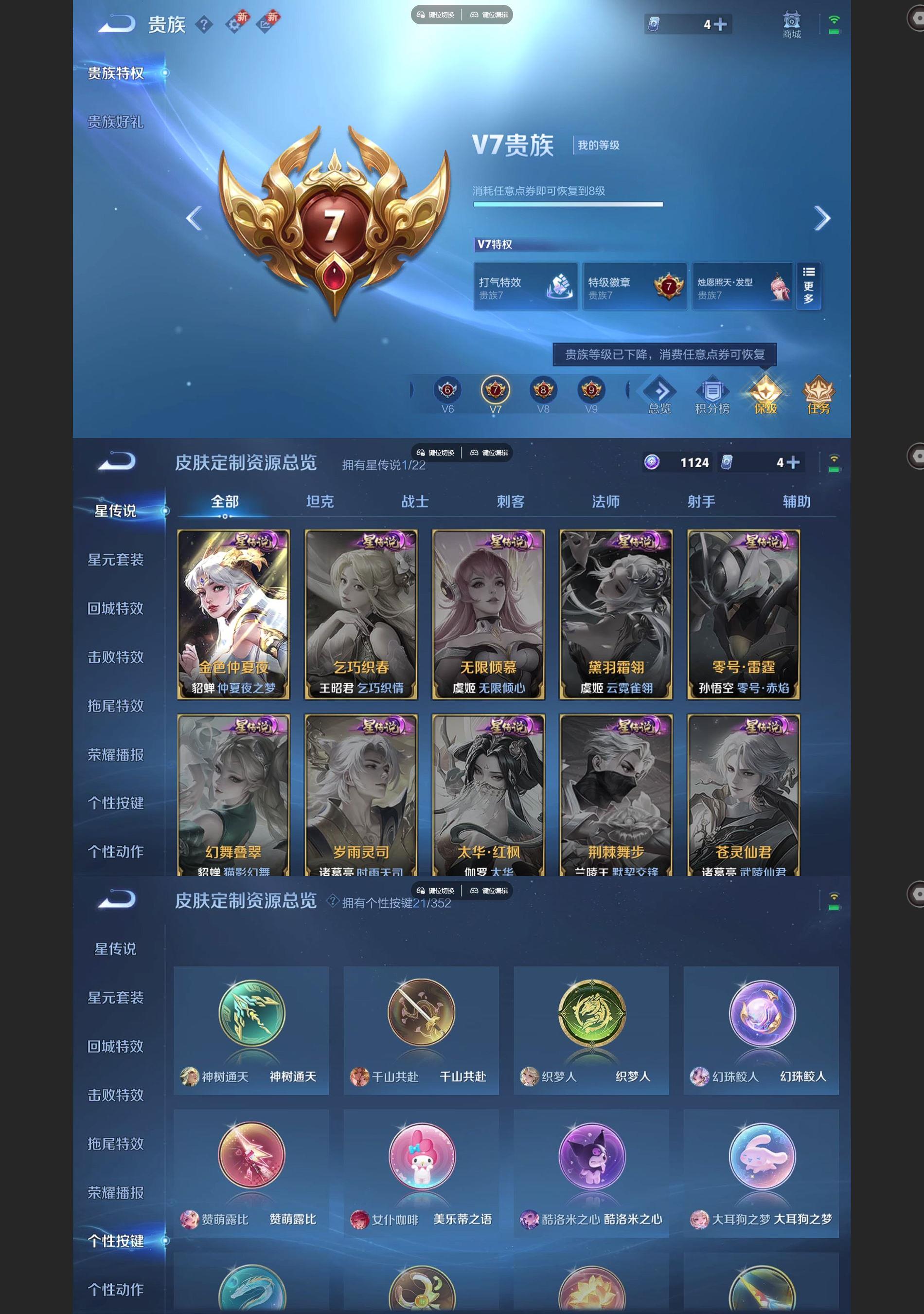 WZQM3395720王者荣耀账号详情图8