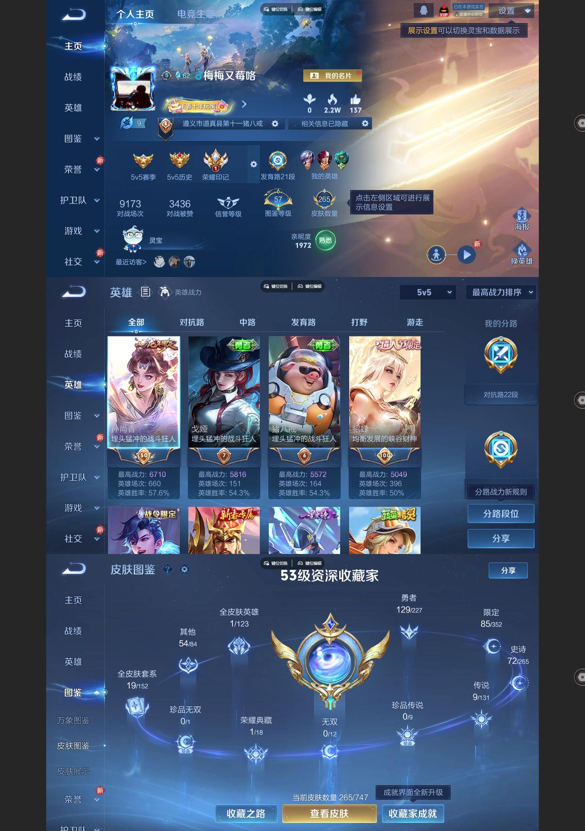 WZQM3464692王者荣耀账号详情图2