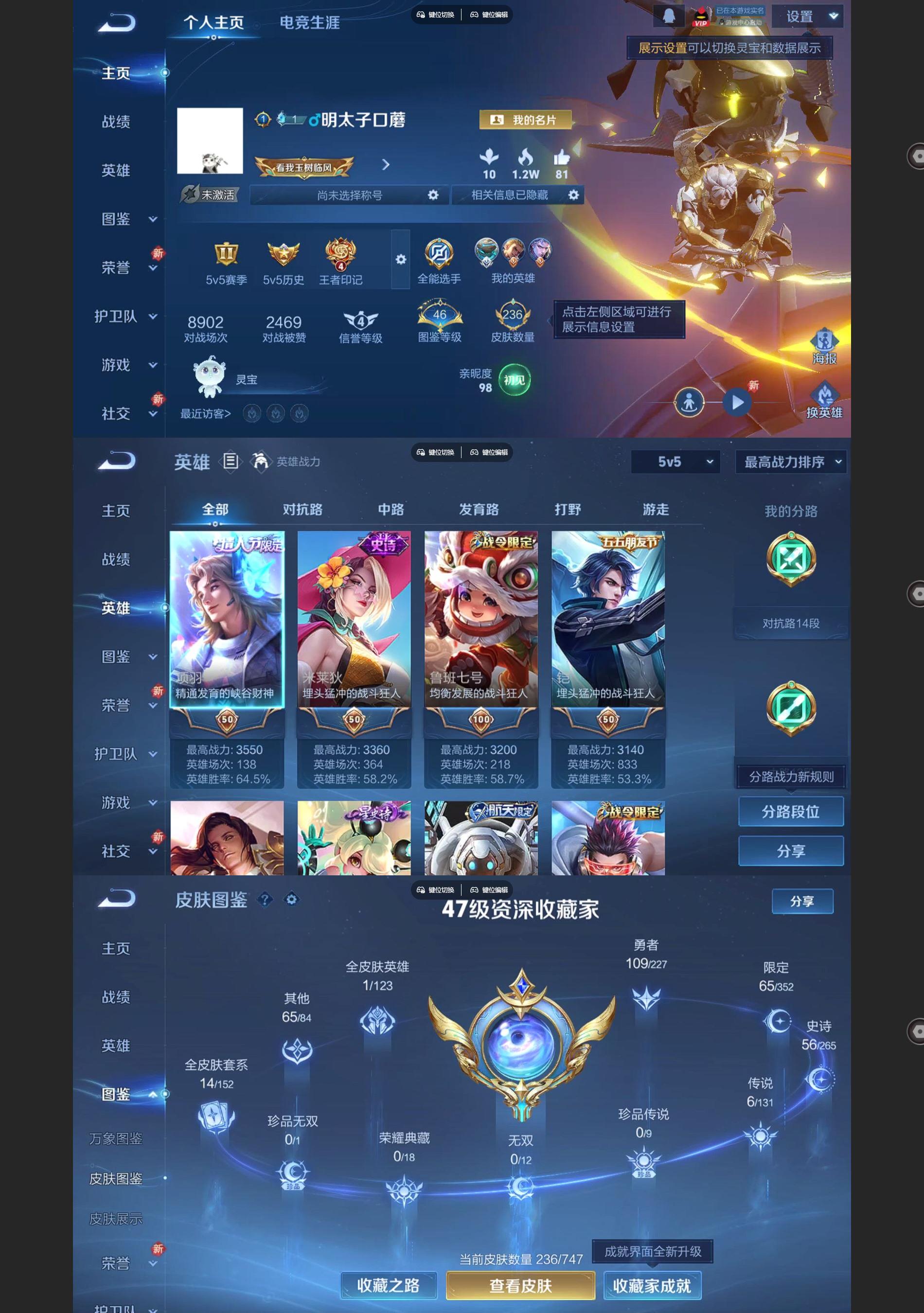 WZQM3452699王者荣耀账号详情图2