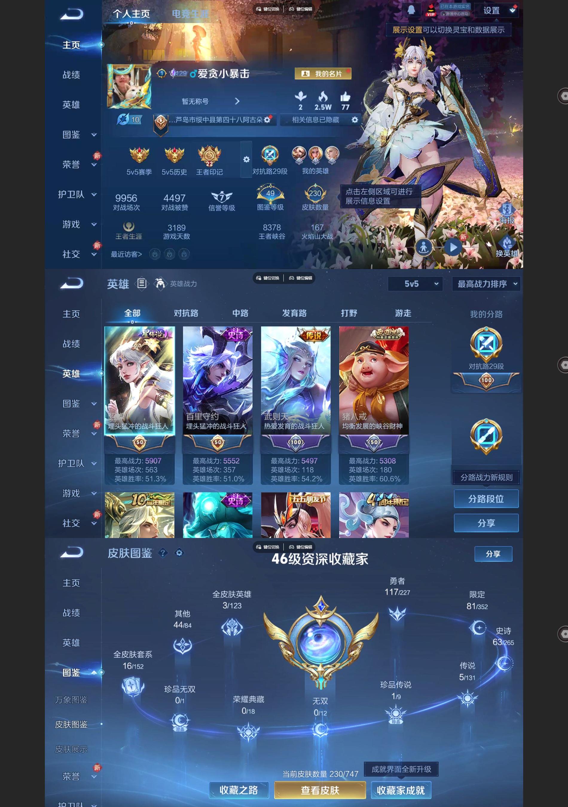 WZQM3464379王者荣耀账号详情图2