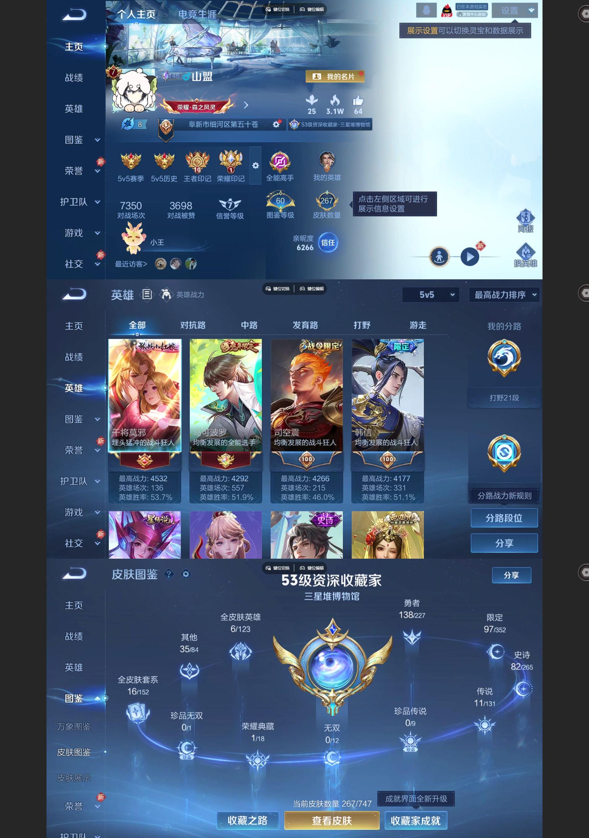 WZQM4134112王者荣耀账号详情图2