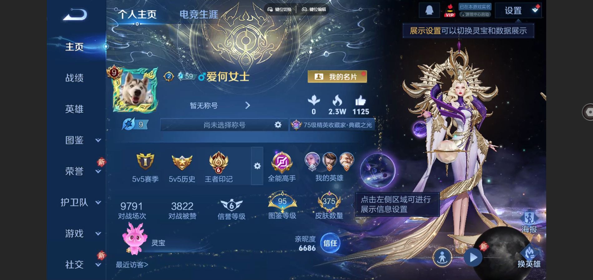 王者荣耀账号安卓QQV9-375皮肤8典藏1无双1珍品传说24传说3星元108史诗126限定-1625紫星币 316幸运