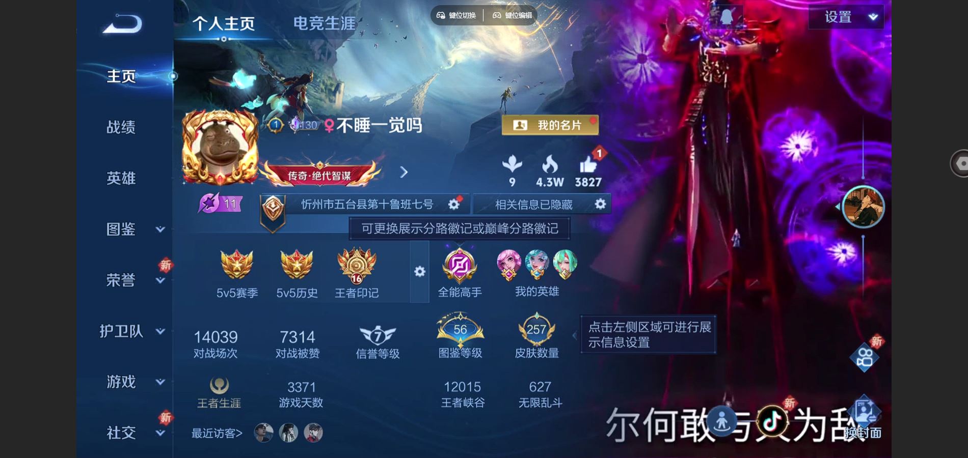 王者荣耀账号安卓QQ3金标 虞姬 李元芳 鲁班七号 V7-257皮肤4传说3星元63史诗82限定- 2413紫星币 28