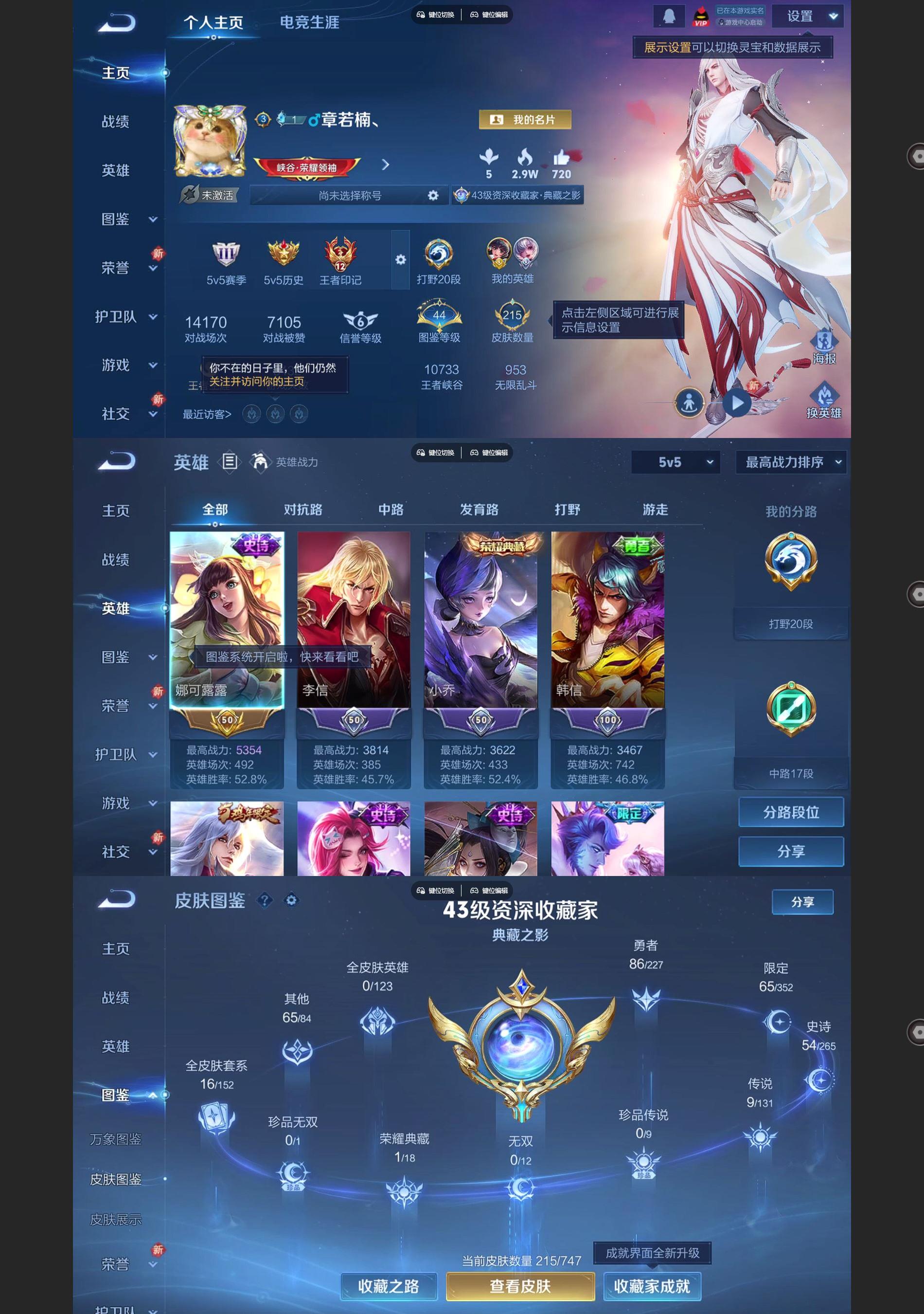 WZQM3471682王者荣耀账号详情图2