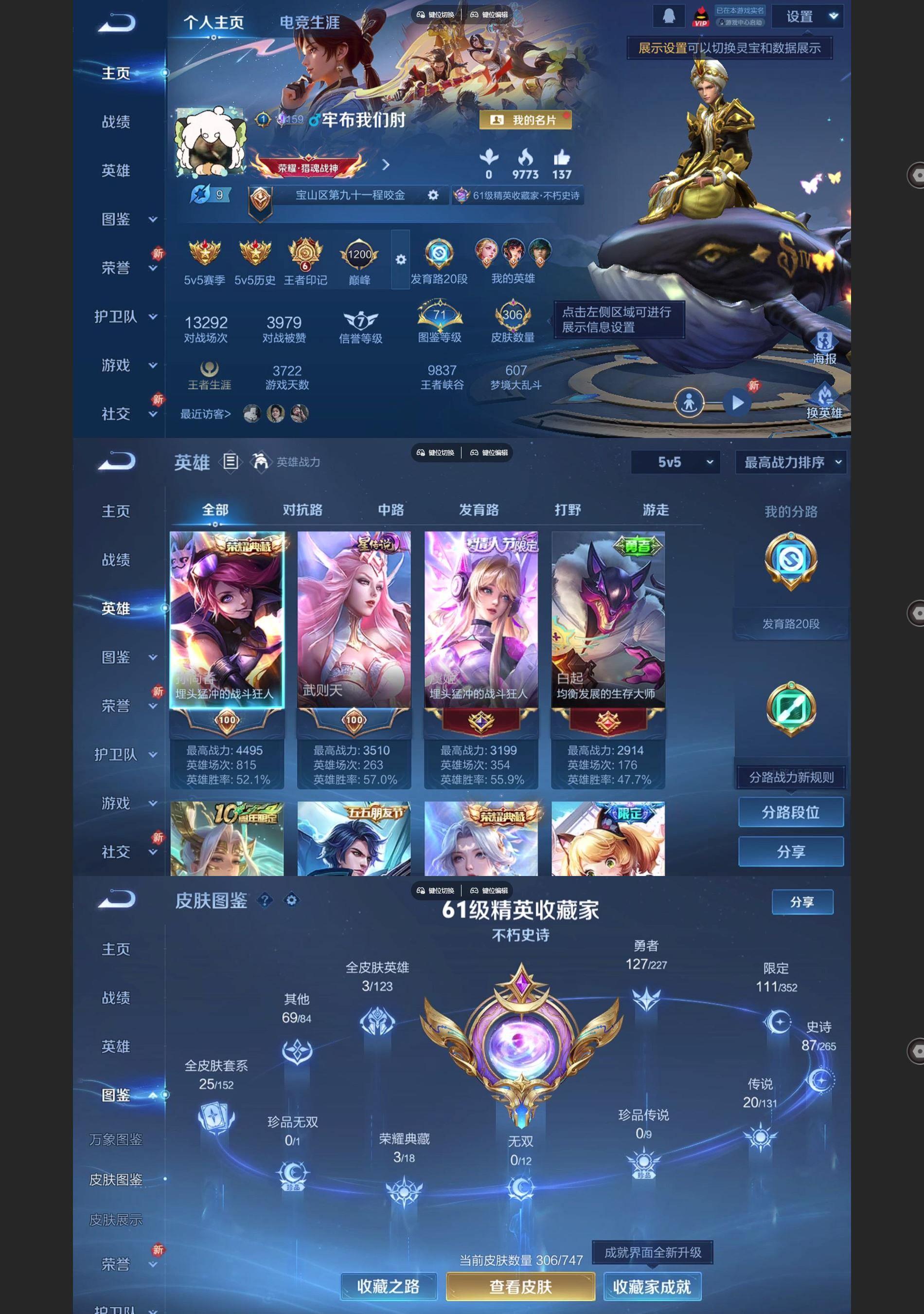 WZQM3477474王者荣耀账号详情图2