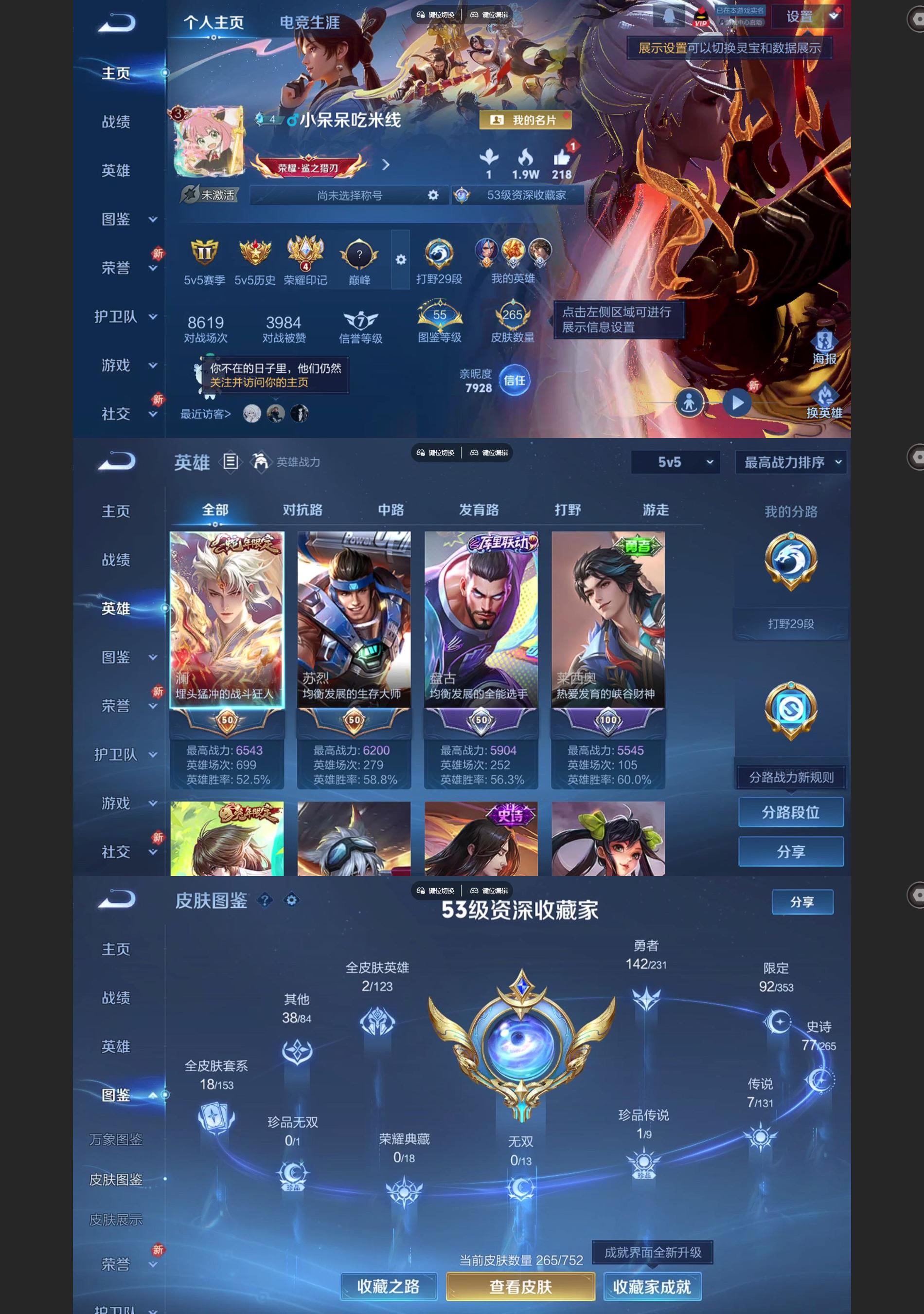 WZQM447219王者荣耀账号详情图2