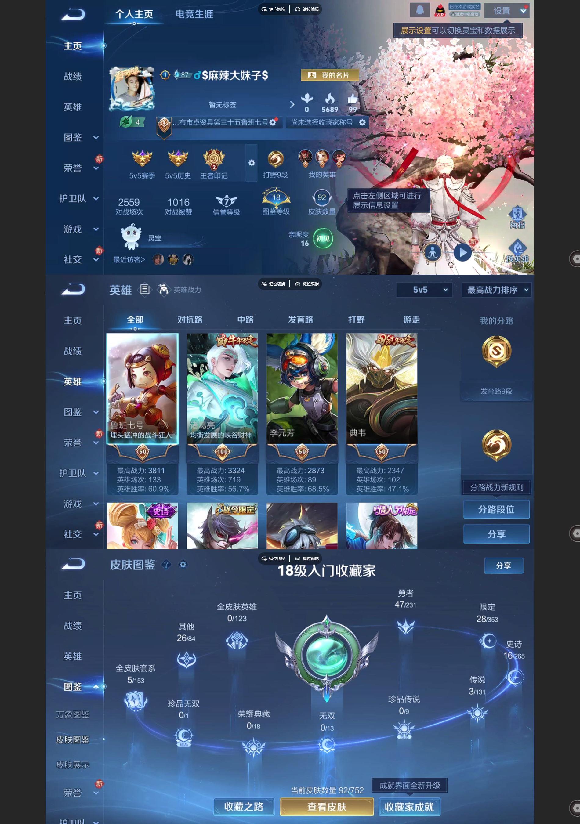 WZCMW430656王者荣耀账号详情图2