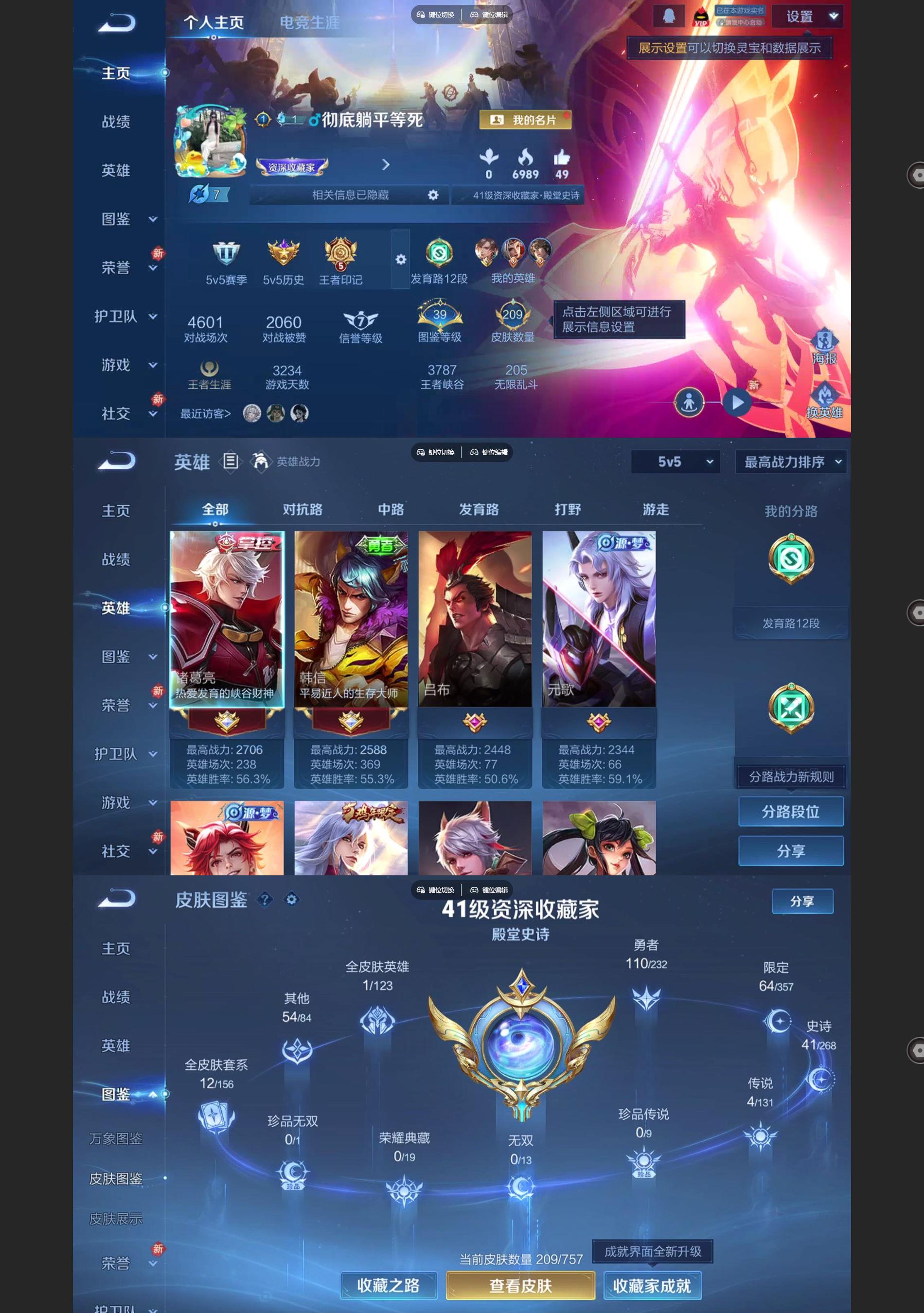 WZQM438285王者荣耀账号详情图2