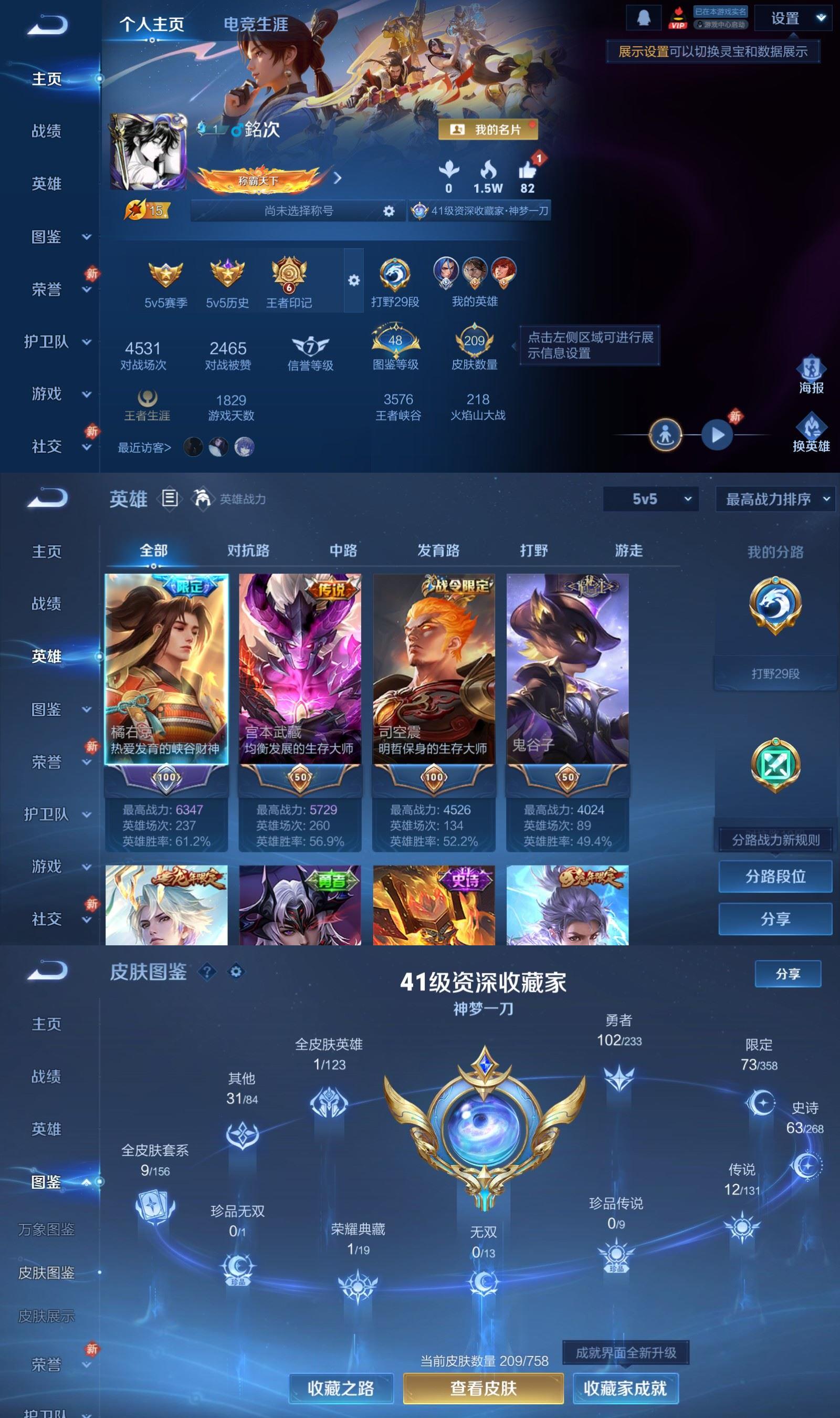 WZQM4113101王者荣耀账号详情图2