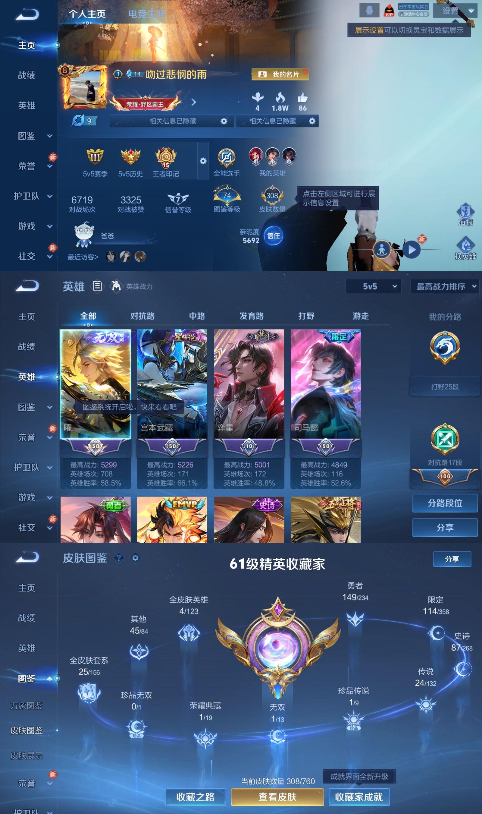 WZQM490533王者荣耀账号详情图2