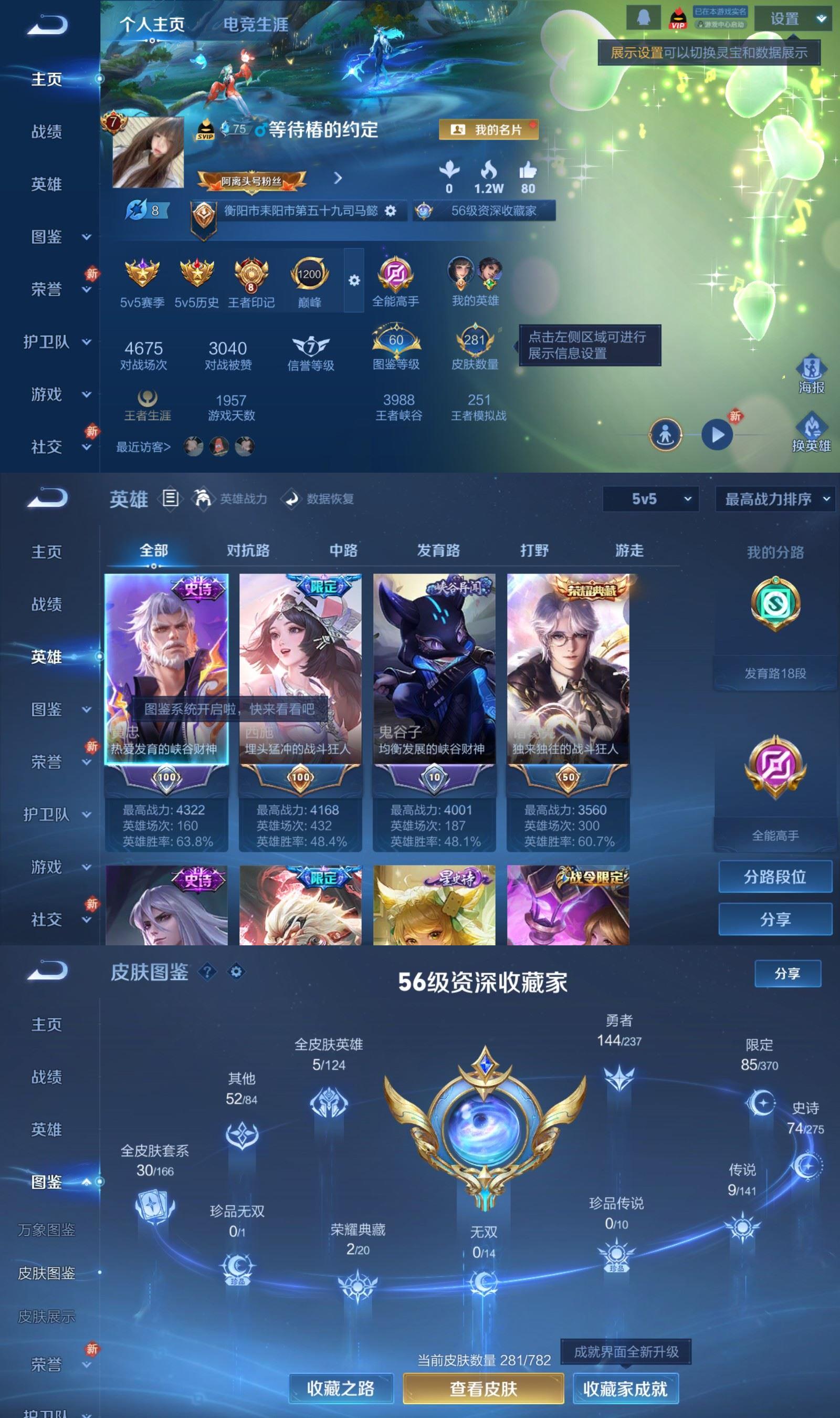 WZQM4198964王者荣耀账号详情图2 WZQM4198964王者荣耀账号详情图2