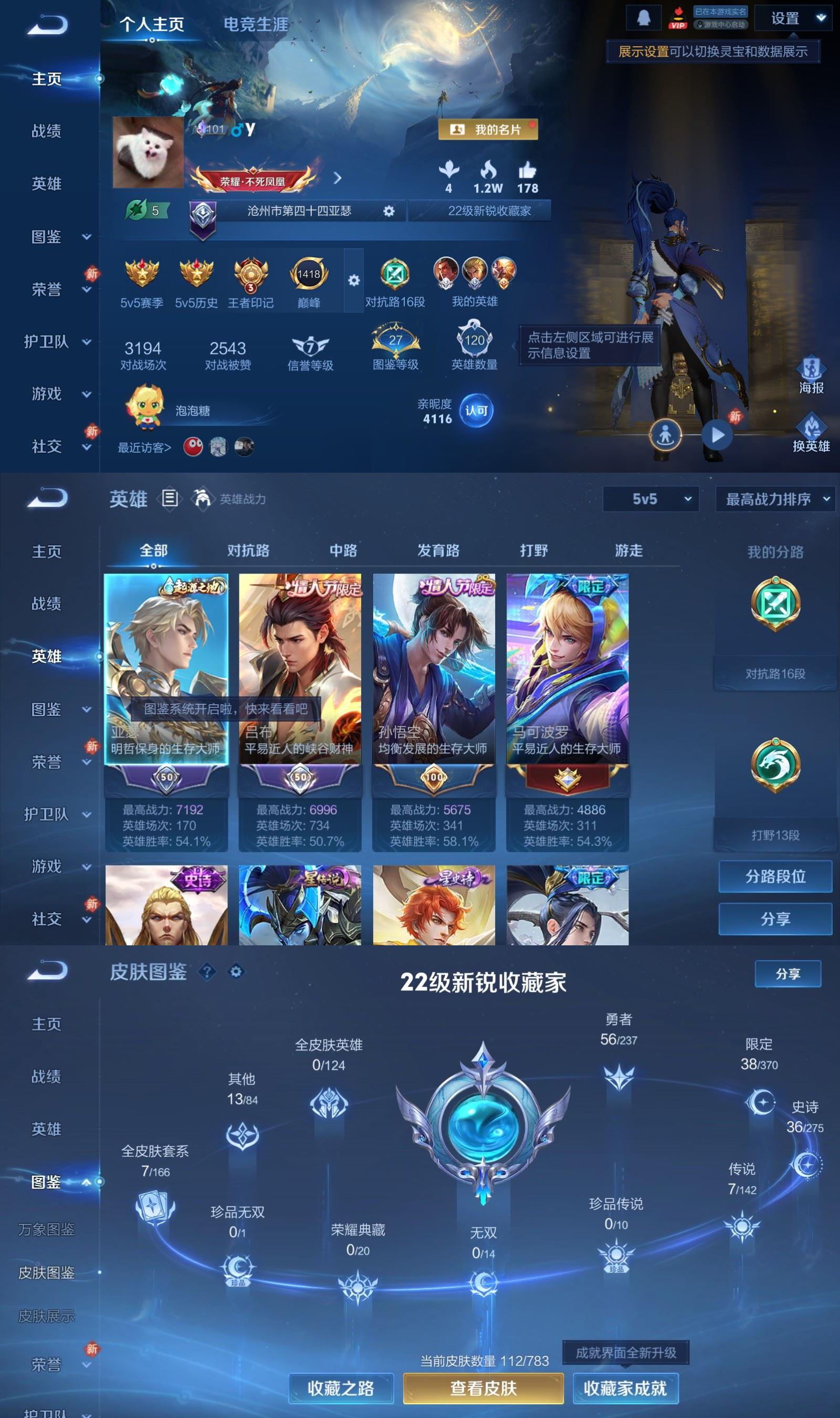 WZCMW4235952王者荣耀账号详情图2