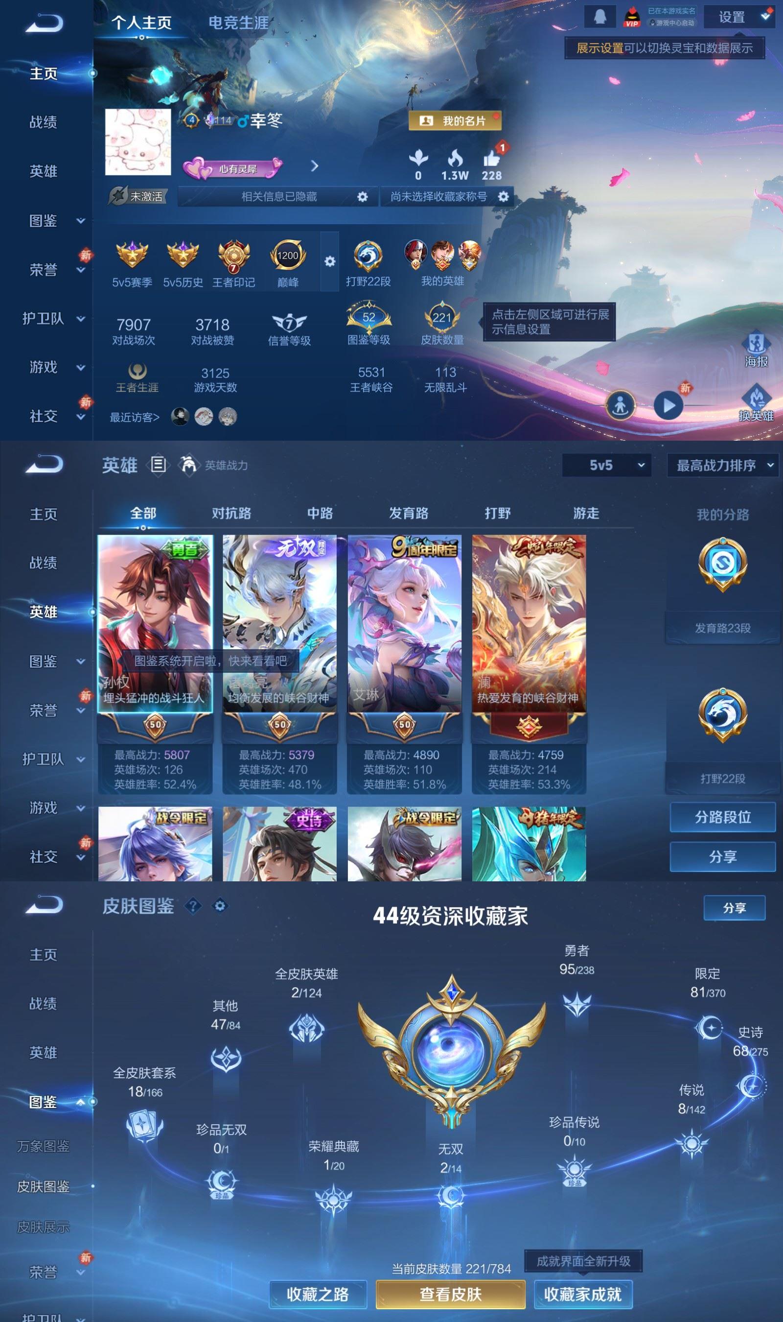 WZQM4248463王者荣耀账号详情图2