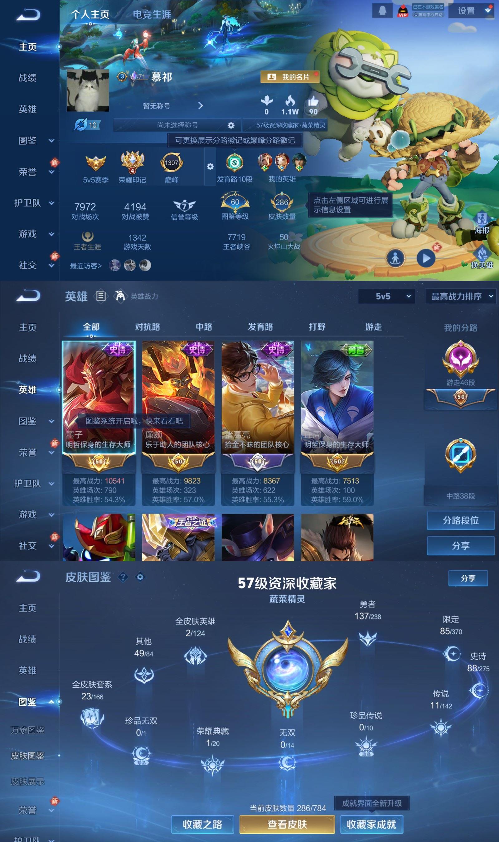 WZQM4248471王者荣耀账号详情图2