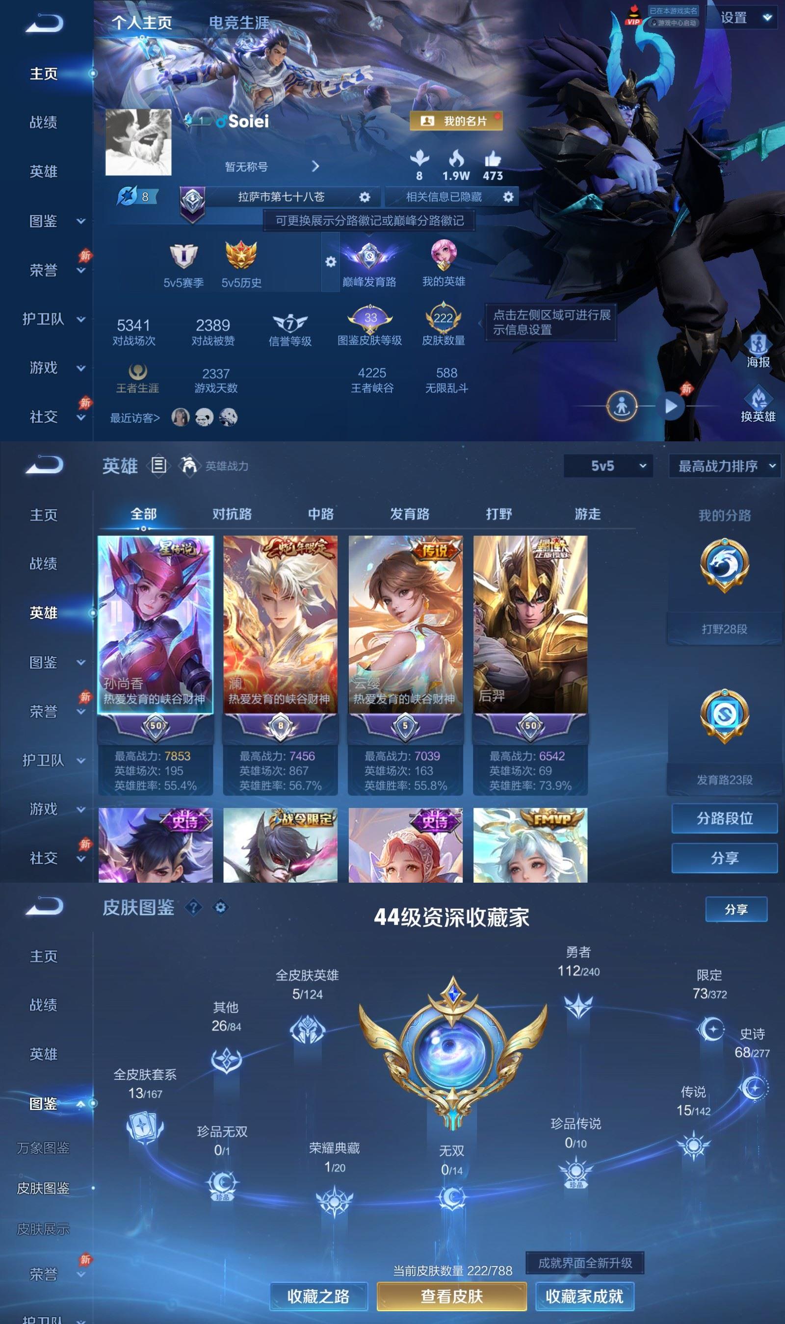 WZQM4289699王者荣耀账号详情图2 WZQM4289699王者荣耀账号详情图2