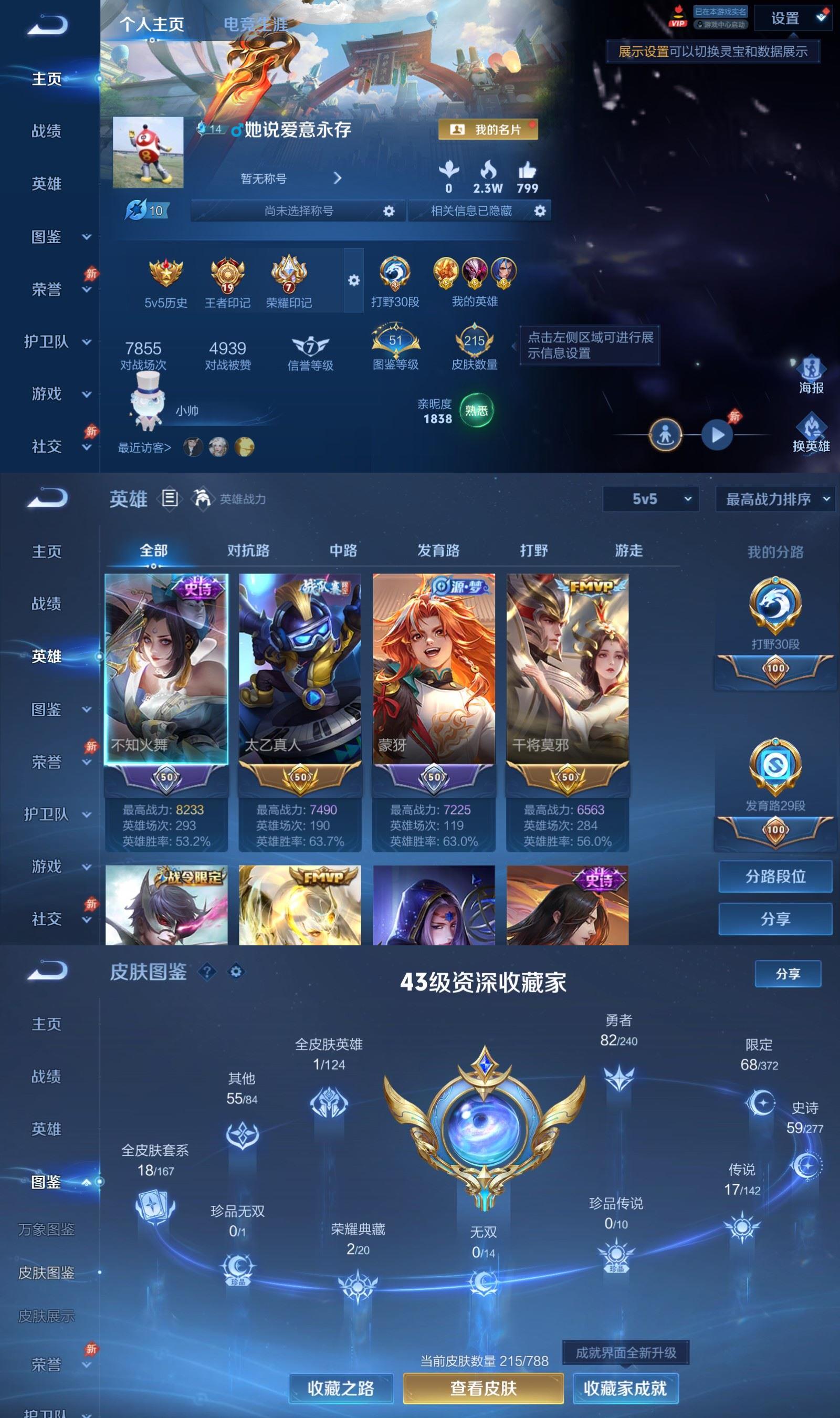 WZQM4313247王者荣耀账号详情图2