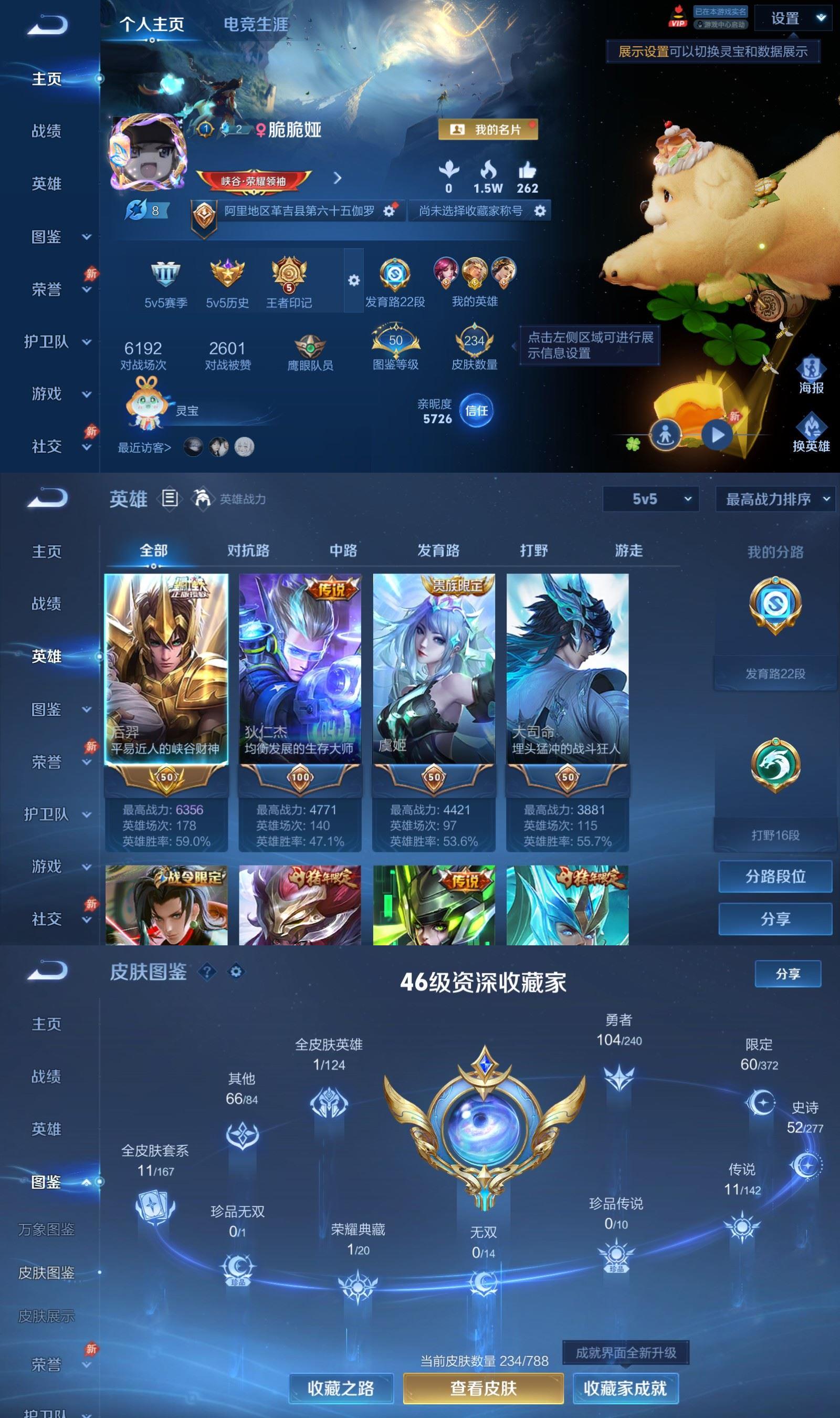 WZQM4354703王者荣耀账号详情图2