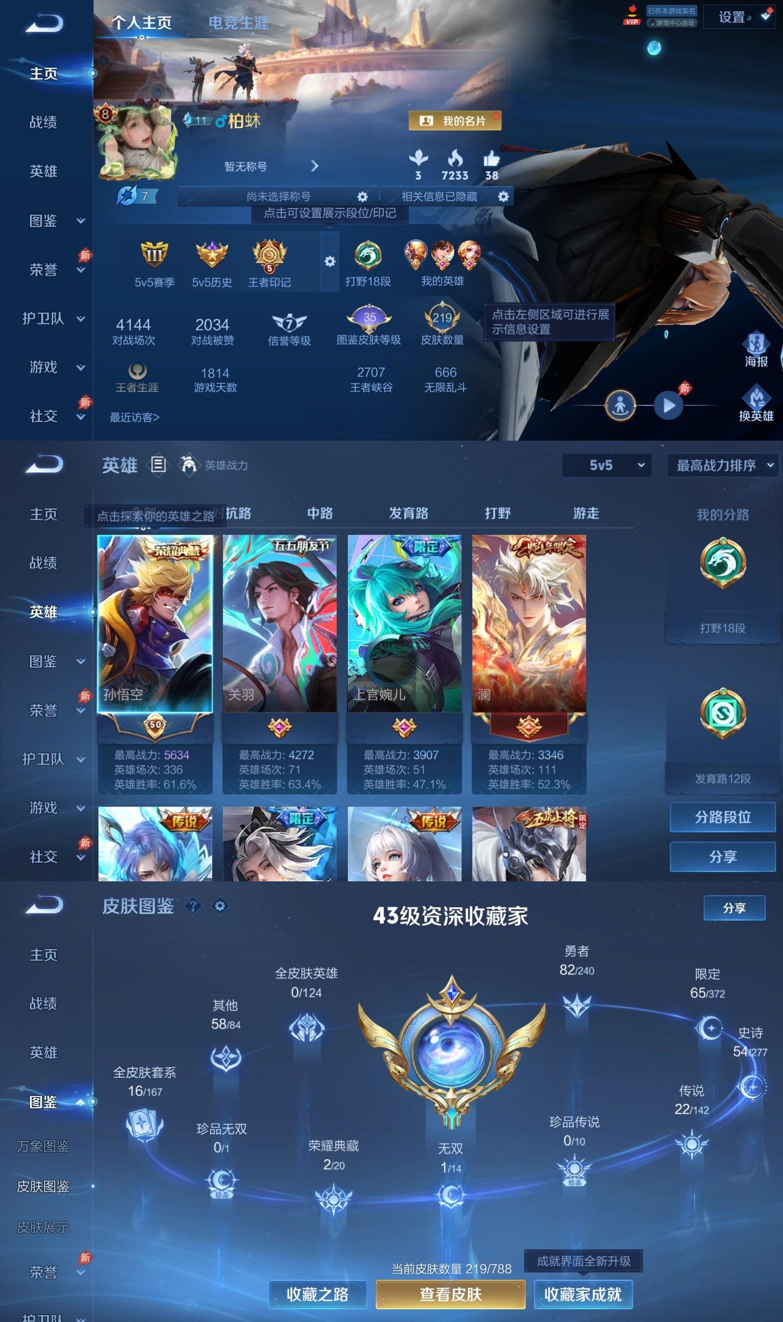 WZCMW4339831王者荣耀账号详情图1